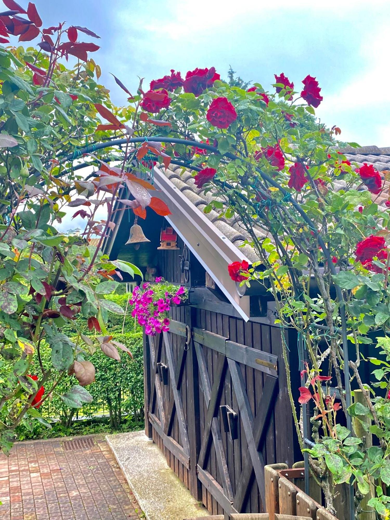 Casa Pallanch Fai della Paganella Εξωτερικό φωτογραφία